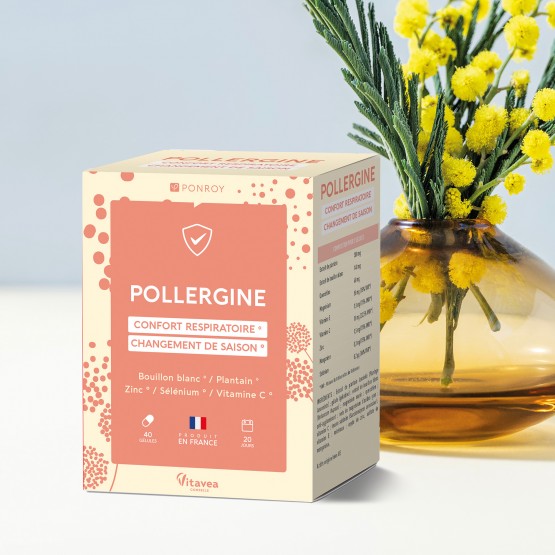 Pollergine